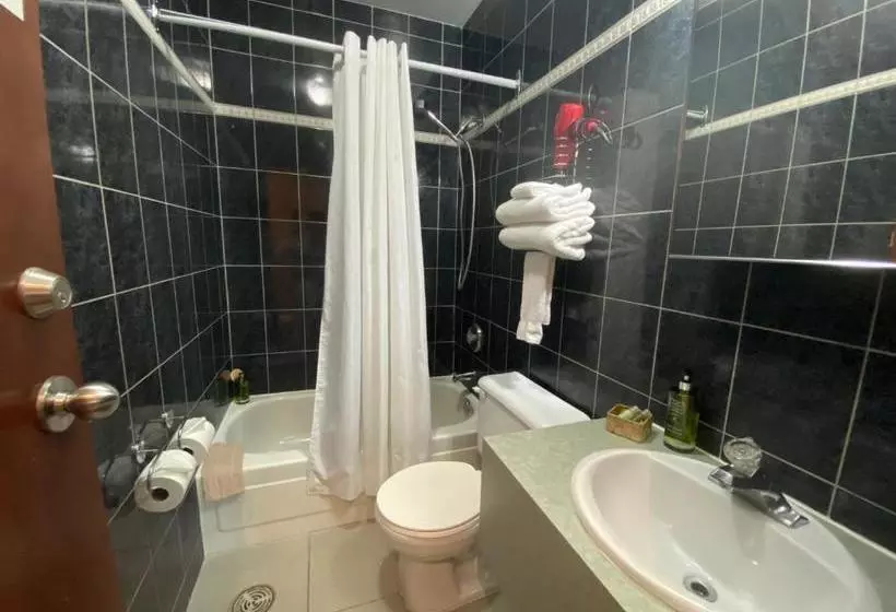 Fotos del hotel Visitel:  5