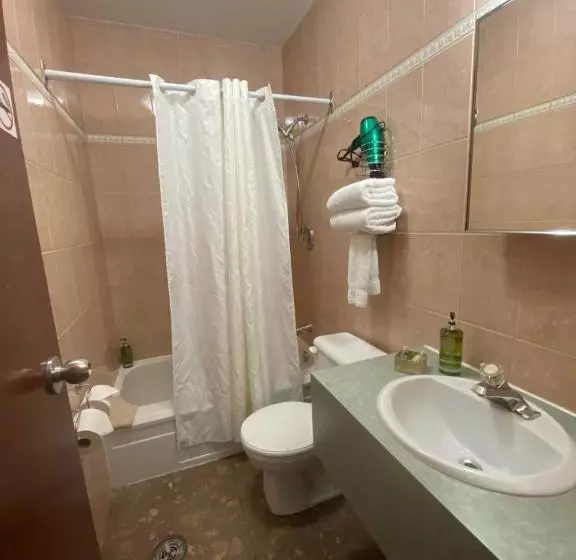 Fotos del hotel Visitel:  7