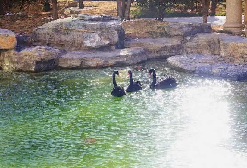 Fotos del hotel Wyndham Qingdao:  3