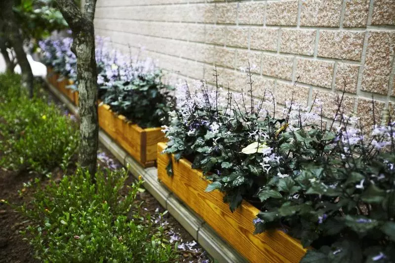 Fotos del hotel Beauty Hotels  Beautique:  7