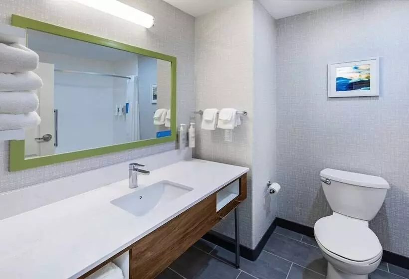 Fotos del hotel Hampton Inn & Suites Dallas I30 Cockrell Hill, Tx:  17