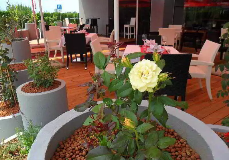 Fotos del hotel Dream:  14