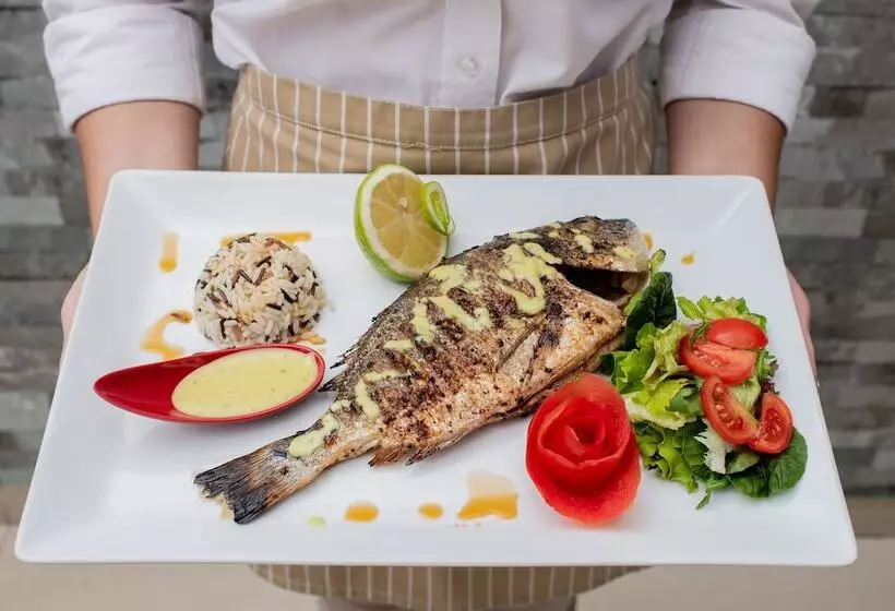 Fotos del hotel Plaza Pallas:  8