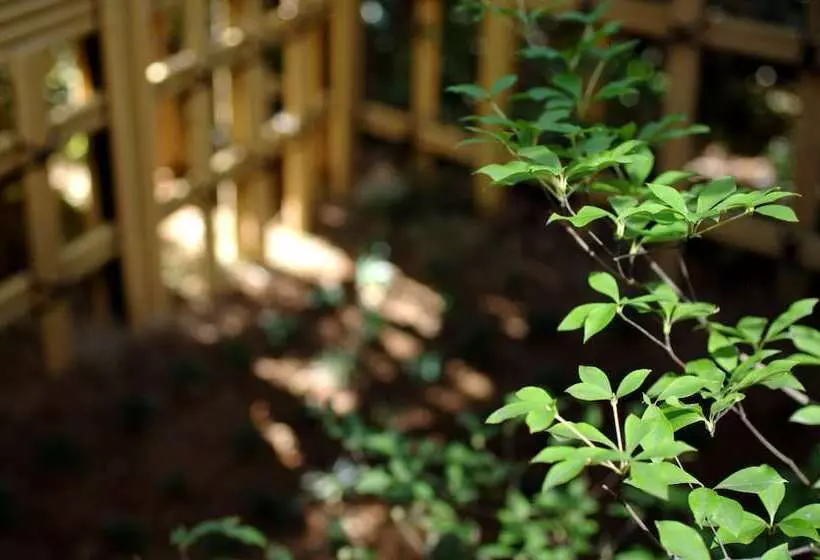 Fotos del hotel Yoshidaya Sannokaku:  7