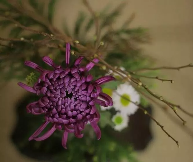 Fotos del hotel Yoshidaya Sannokaku:  11