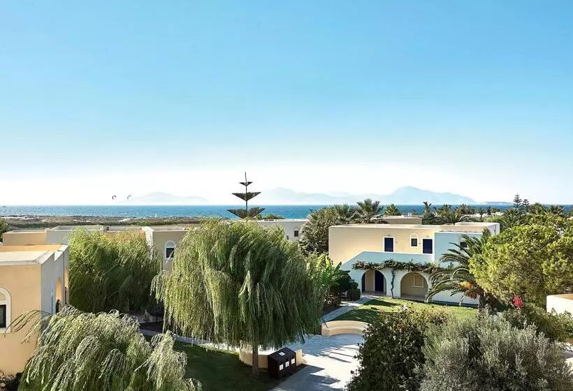 Fotos del hotel Casa Paradiso:  15