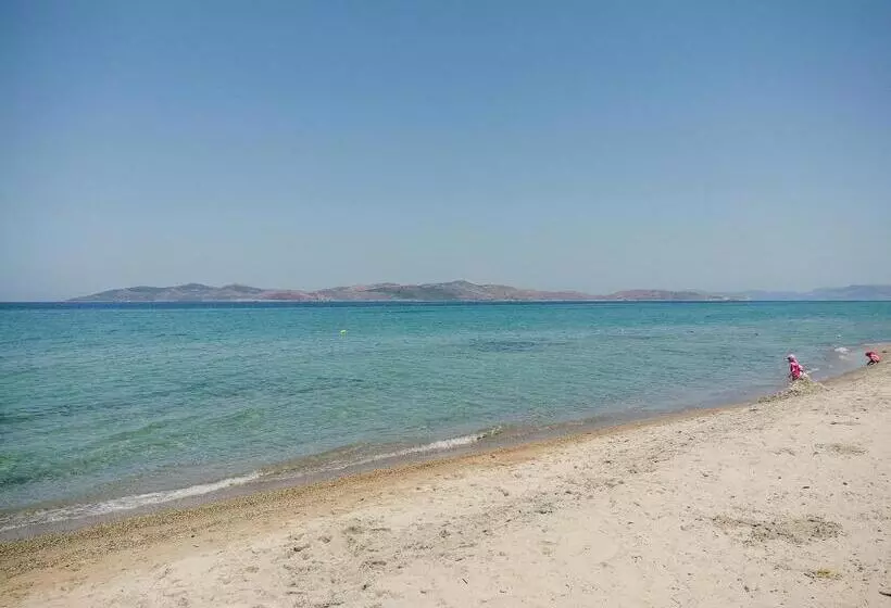 Fotos del hotel Casa Paradiso:  14