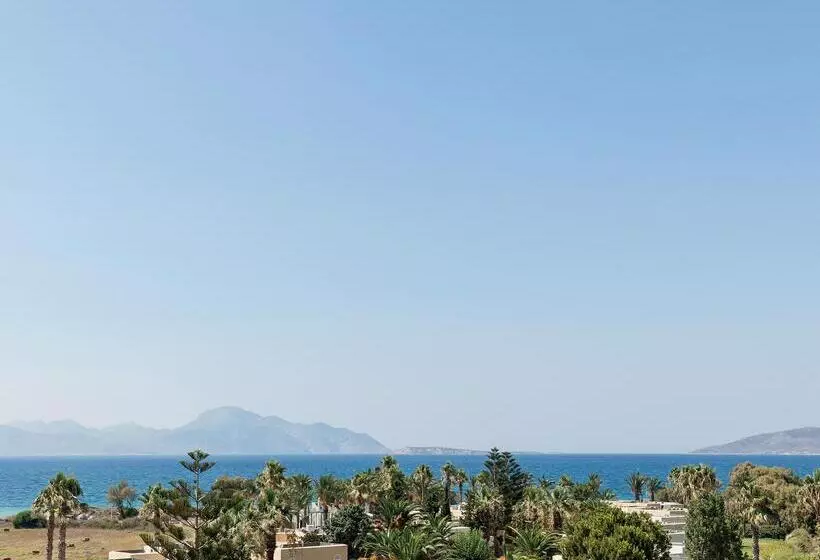 Fotos del hotel Casa Paradiso:  12