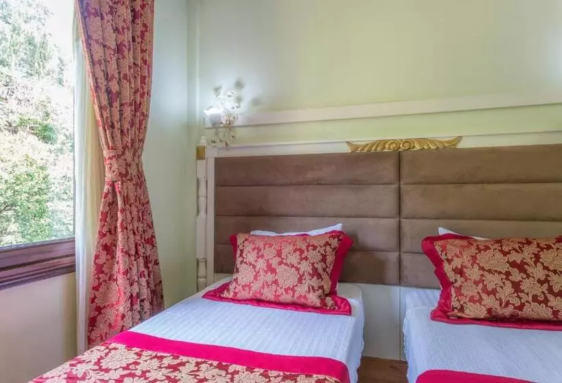 Fotos del hotel Sphendon:  25