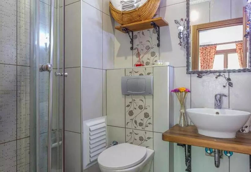 Fotos del hotel Sphendon:  15