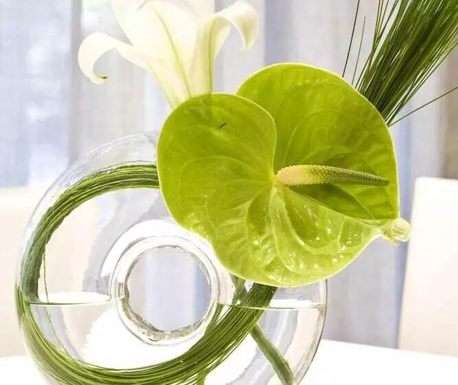 Fotos del hotel Atlantic Affair Boutique:  6