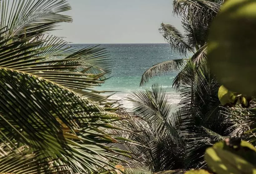 Fotos del hotel Be Tulum Beach & Spa Resort:  7