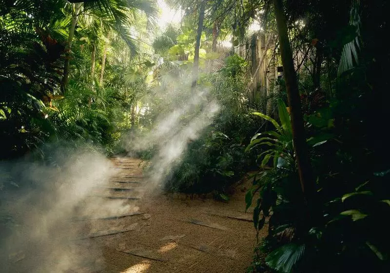 Fotos del hotel Be Tulum Beach & Spa Resort:  12