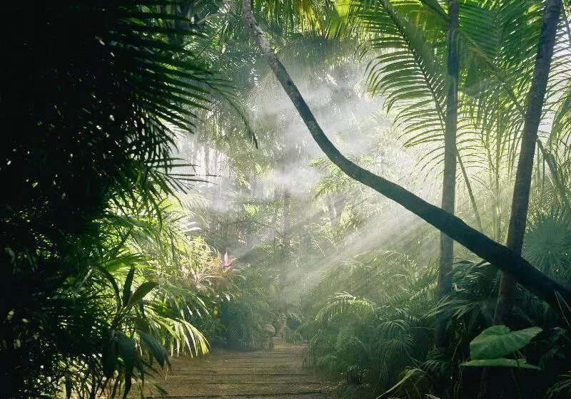 Fotos del hotel Be Tulum Beach & Spa Resort:  19