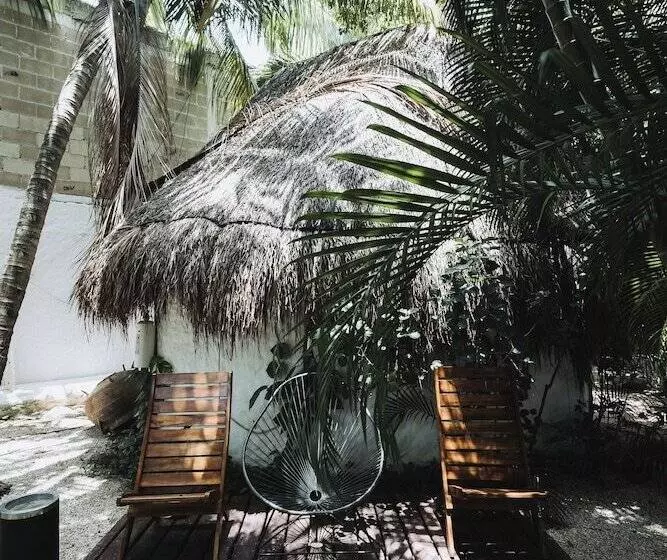 Fotos del hotel Casa Barbara:  4