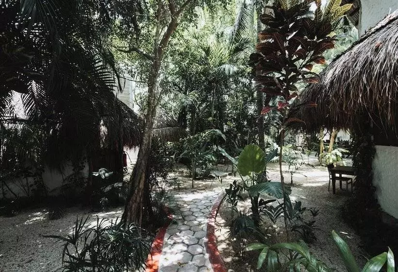 Fotos del hotel Casa Barbara:  5