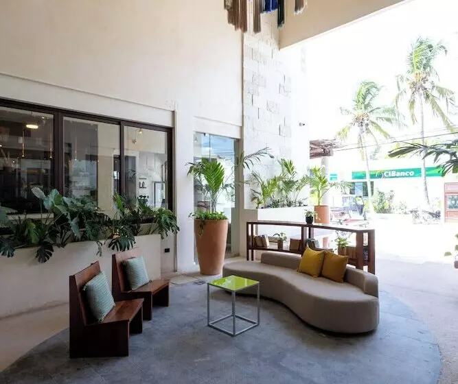 Fotos del hotel Casa Barbara:  20