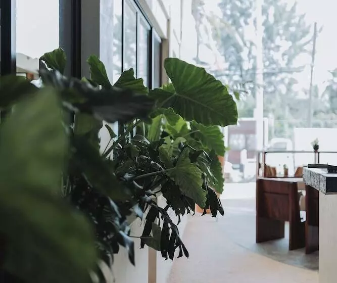 Fotos del hotel Casa Barbara:  22