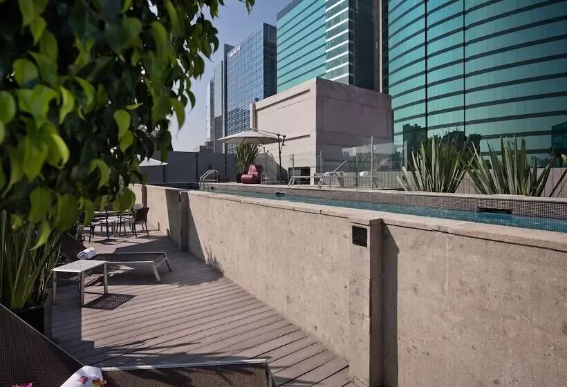 Fotos del hotel Las Suites Campos Eliseos:  4