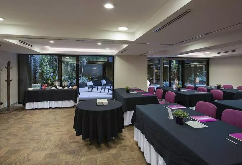 Fotos del hotel Las Suites Campos Eliseos:  15