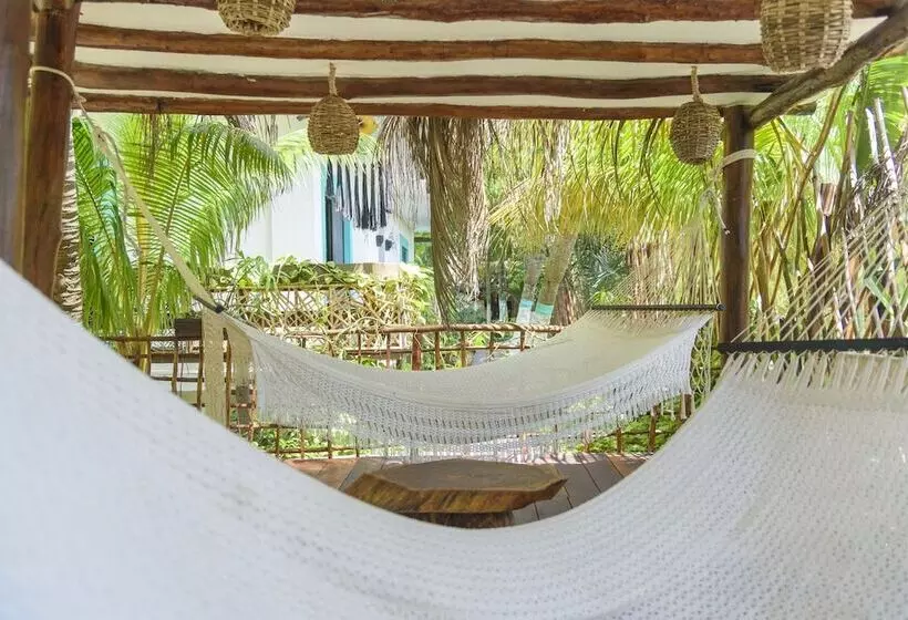 Fotos del hotel Villas Tiburon:  13