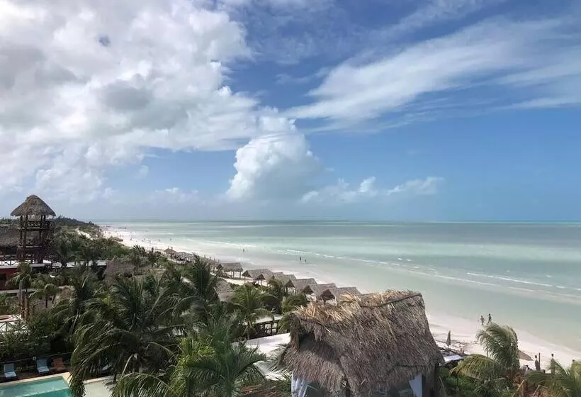 Fotos del hotel Villas Tiburon:  14