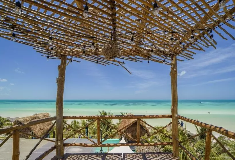 Fotos del hotel Villas Tiburon:  24