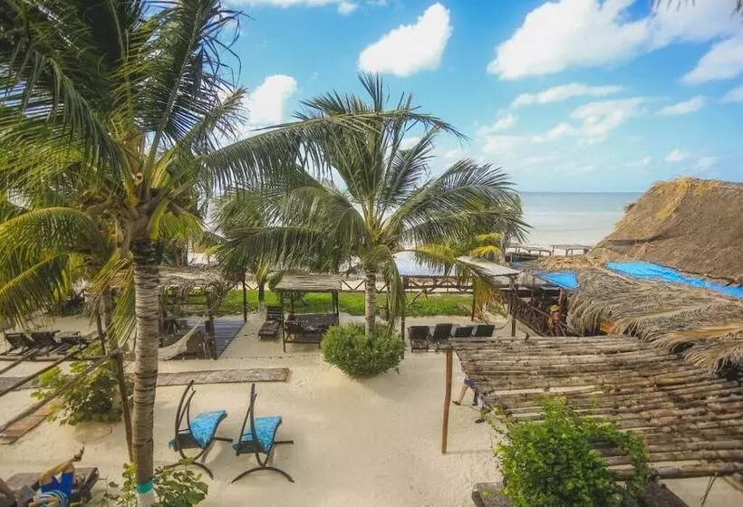 Fotos del hotel Villas Tiburon:  20