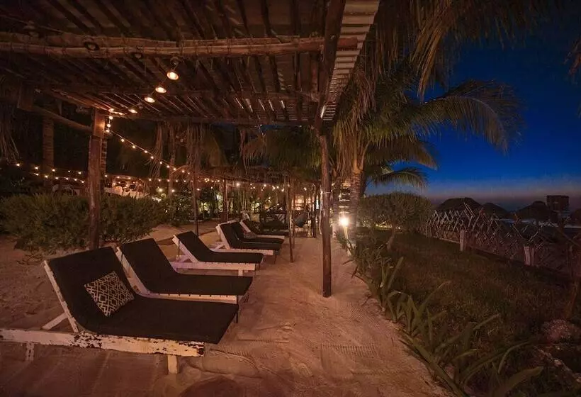 Fotos del hotel Villas Tiburon:  9