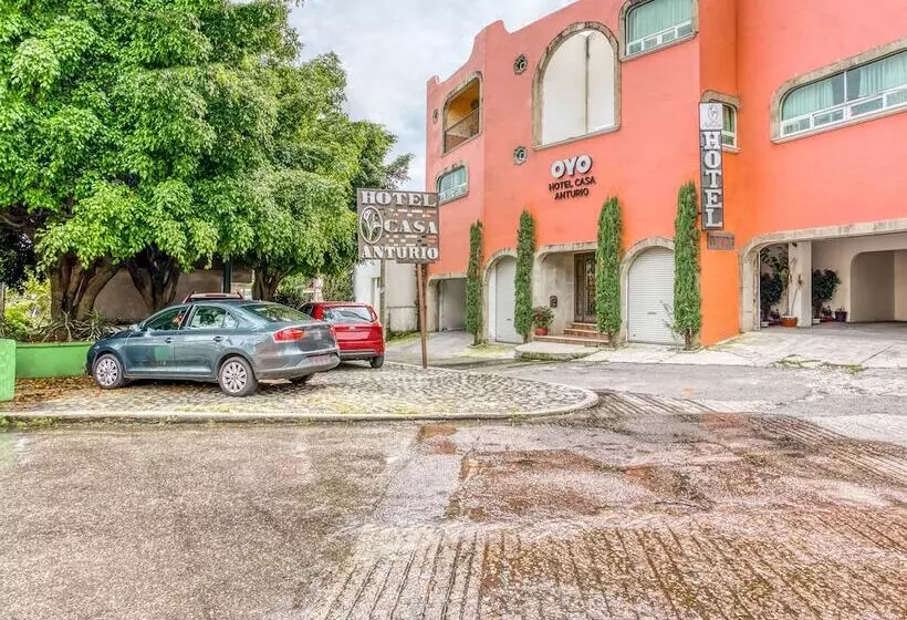 Fotos del hotel Casa Anturio:  7