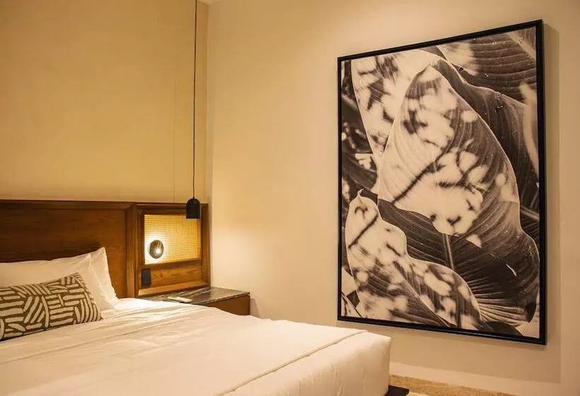 Fotos del hotel Casa Continental:  8