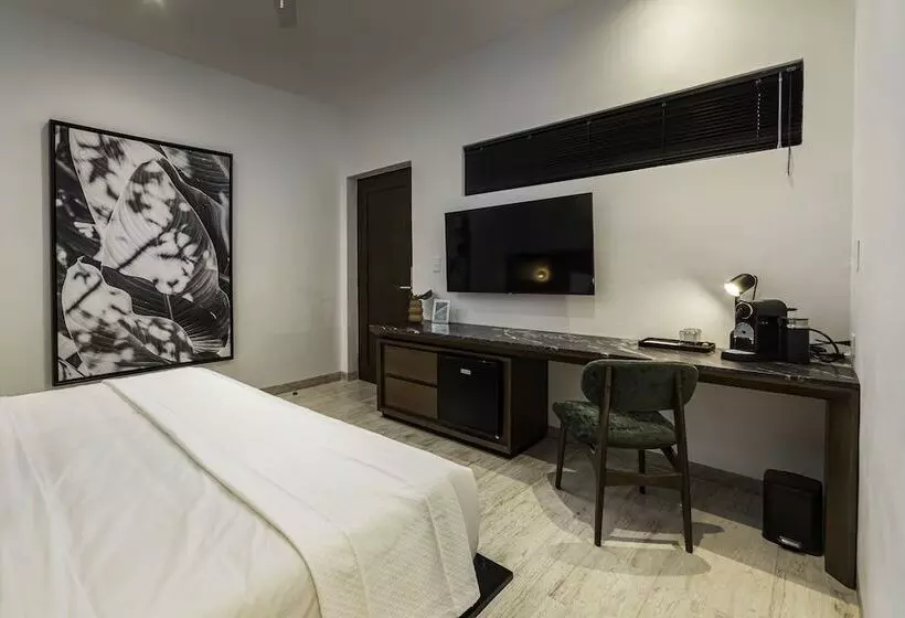 Fotos del hotel Casa Continental:  12