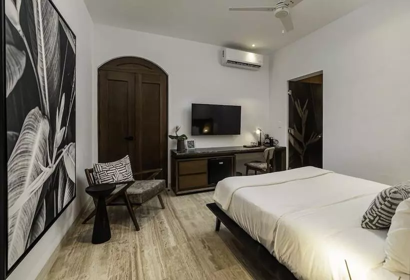 Fotos del hotel Casa Continental:  17