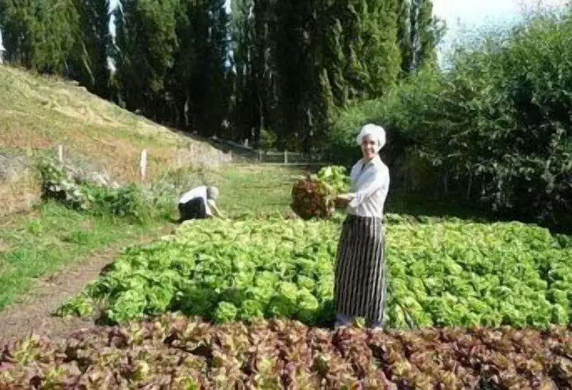 Fotos del hotel Hostería El Galpón Del Glaciar:  3