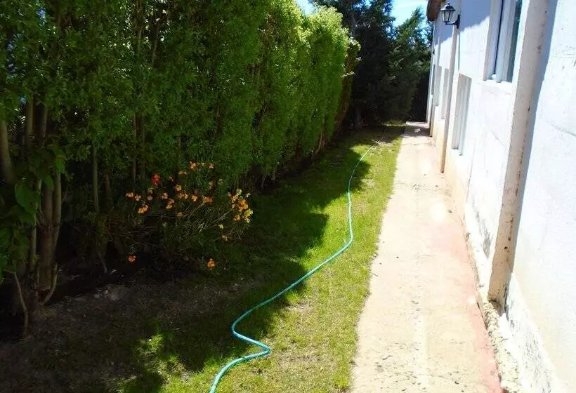 Fotos del hotel Los Fresnos:  14