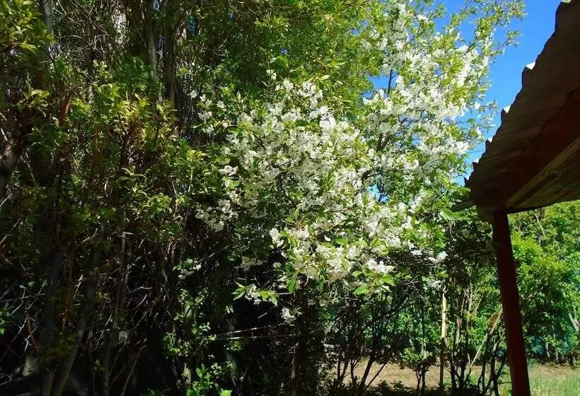 Fotos del hotel Los Fresnos:  4