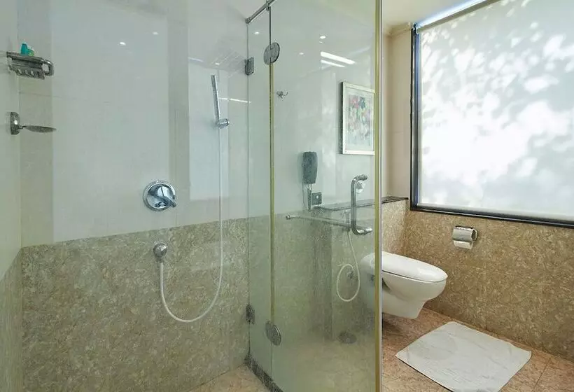 Fotos del hotel Royalton Hyderabad Abids:  20