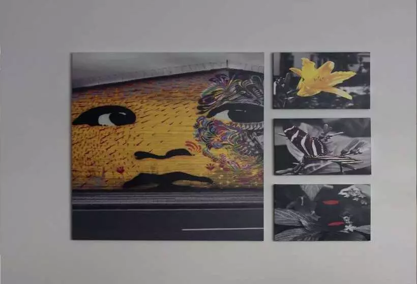 Fotos del hotel Tryp Medellin Estadio:  9