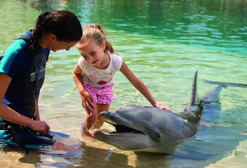 Fotos del hotel Wyndham Resort Surfers Paradise:  14