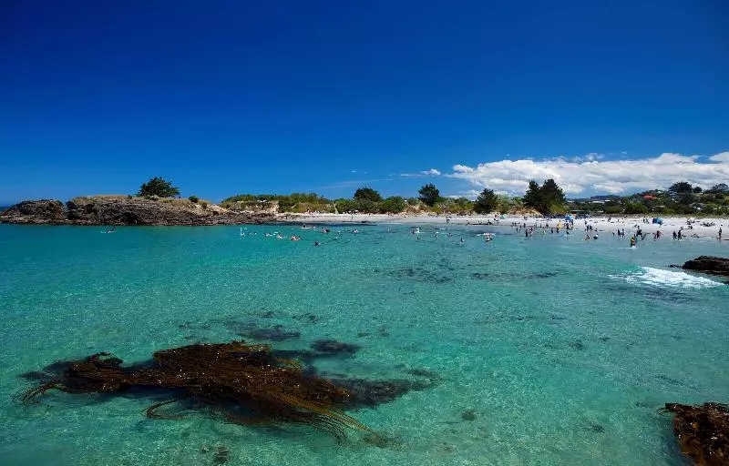 Fotos del hotel 555 Motel Dunedin:  6