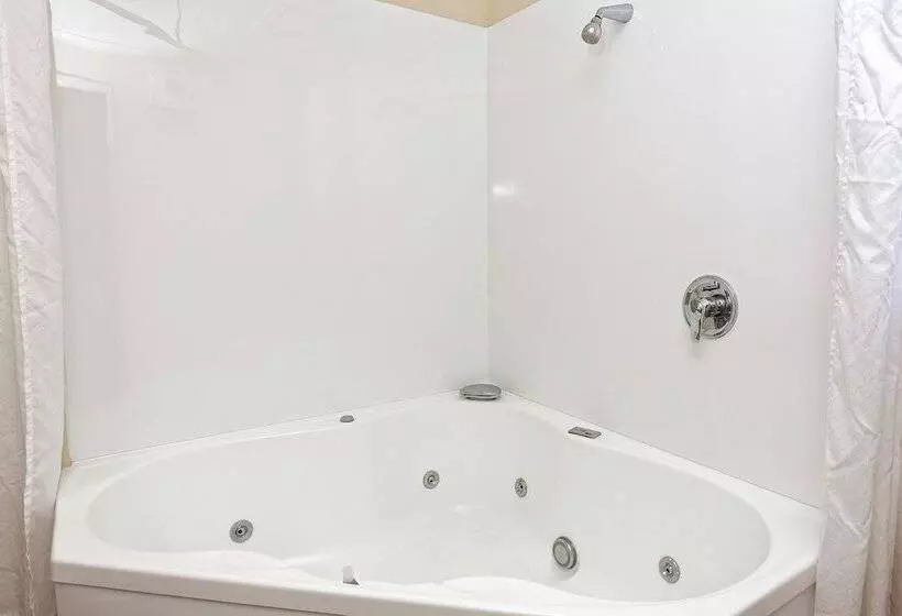 Fotos del hotel Bk's Rotorua Motor Lodge:  20