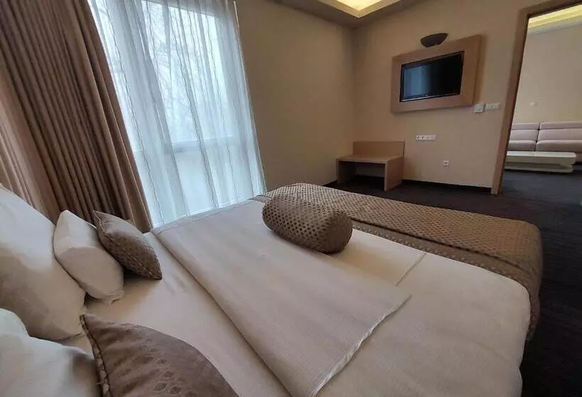 Fotos del hotel Spa Hotel Terme:  21