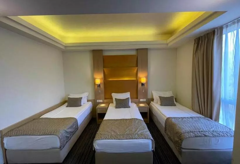 Fotos del hotel Spa Hotel Terme:  24