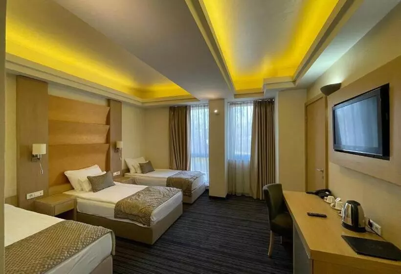 Fotos del hotel Spa Hotel Terme:  15