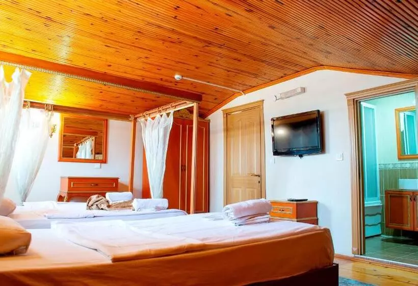 Fotos del hotel Gedik Pasa Konagi:  16