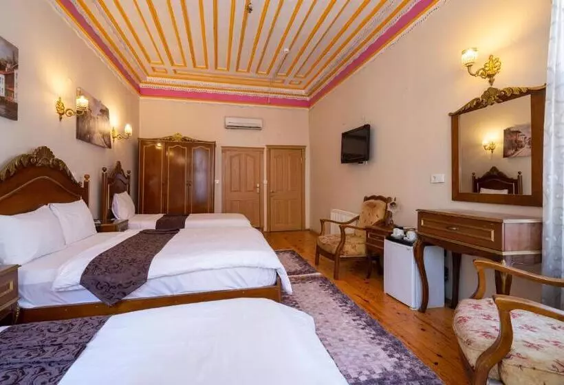 Fotos del hotel Gedik Pasa Konagi:  15