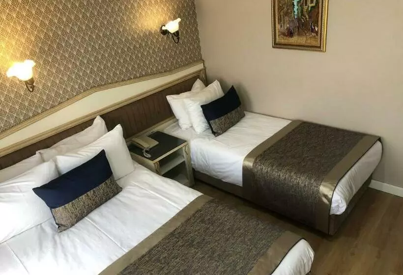 Fotos del hotel Mevlana:  6