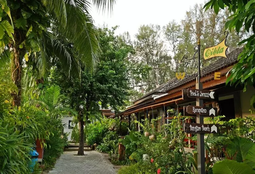 Fotos del hotel Bangtao Beach Chalet:  3