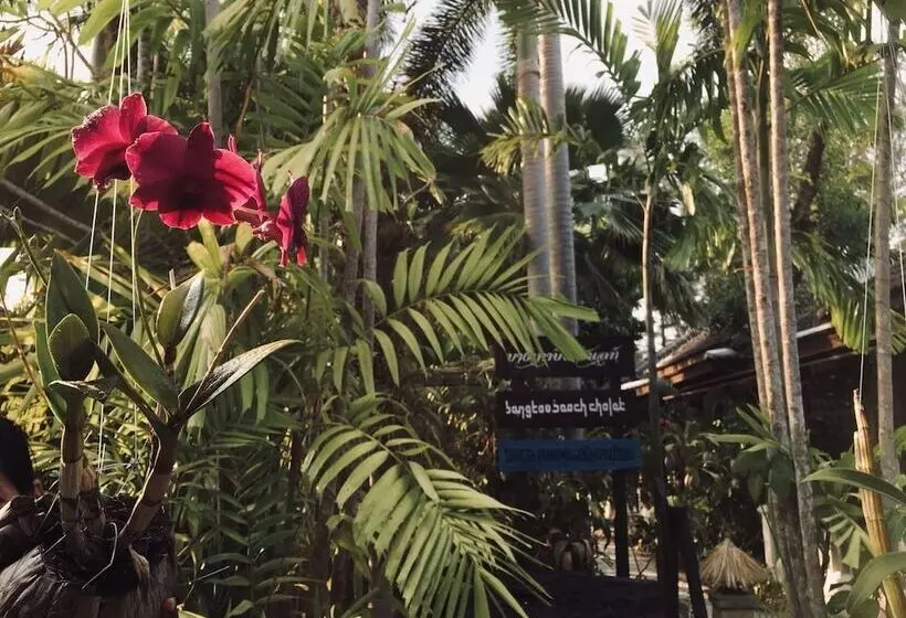 Fotos del hotel Bangtao Beach Chalet:  18