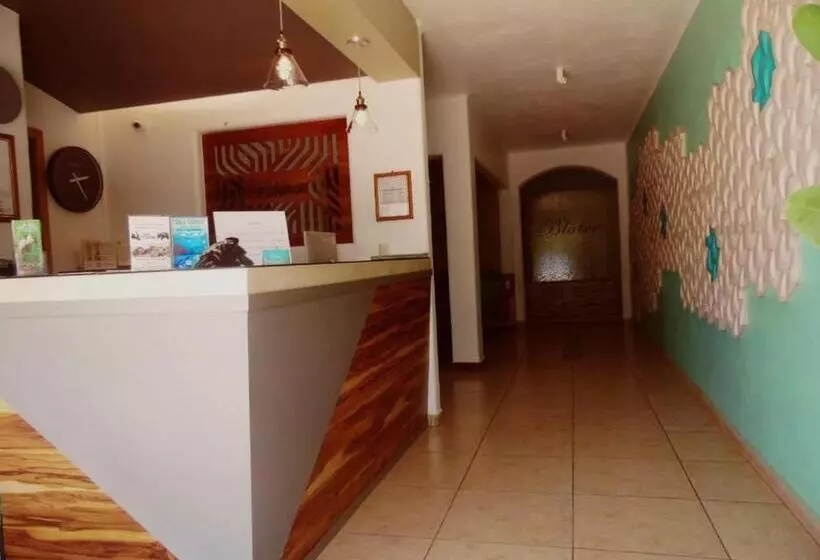 Fotos del hotel Blater:  3